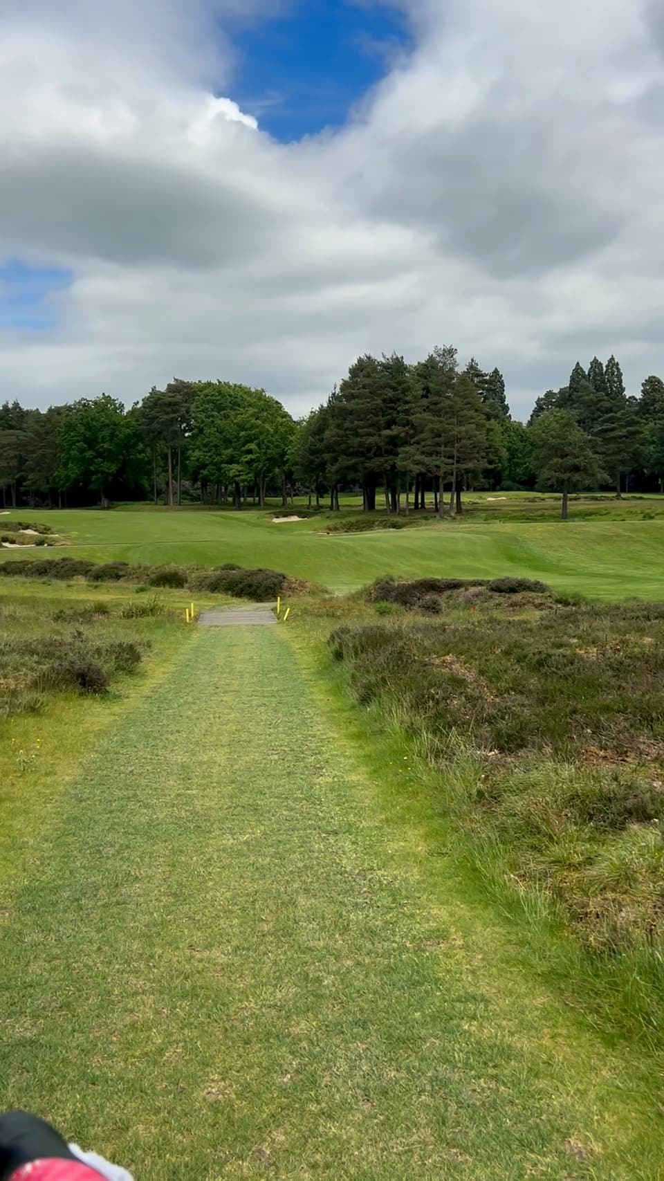 A mown heathland path leading to the fairway